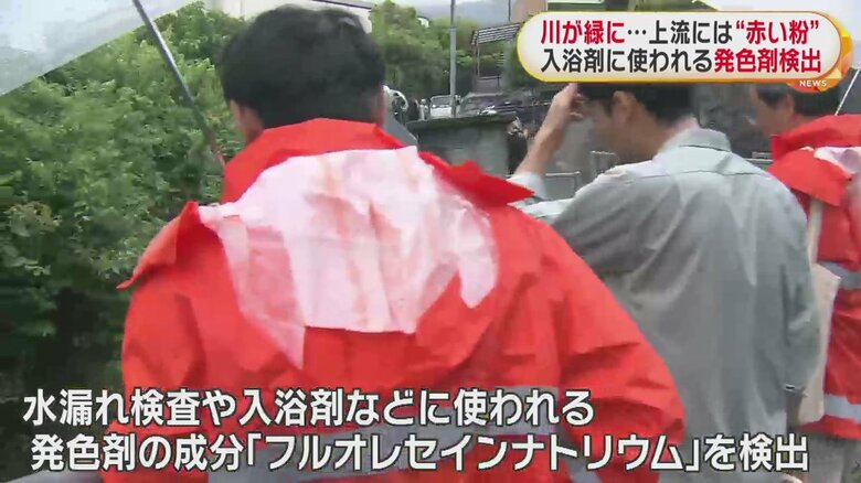 思わず何度も見てしまうほど、鮮やかな色