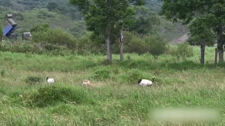 釧路湿原の周辺ではソーラーパネルの設置が進められている