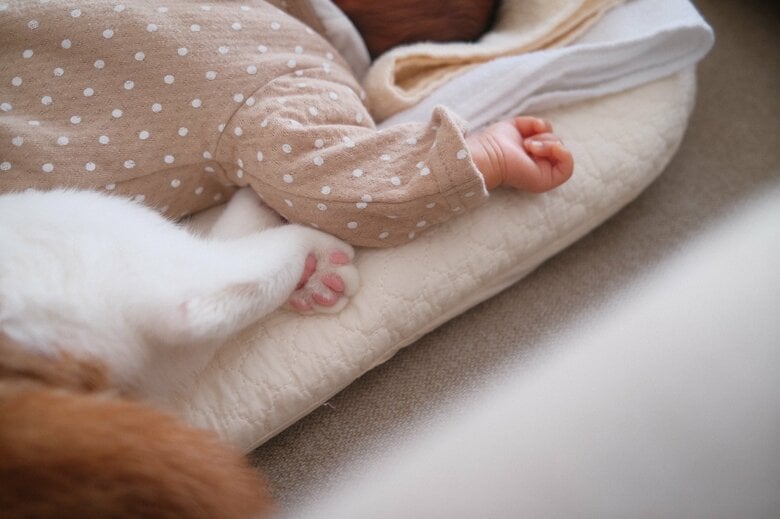 提供：こなつさん