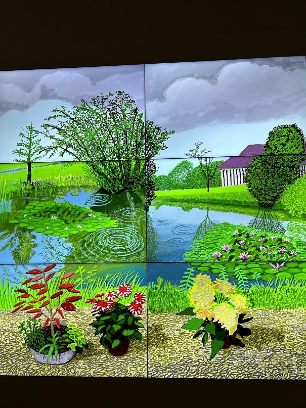 《2021年6月10日-22日、池の睡蓮と鉢植えの花》 
