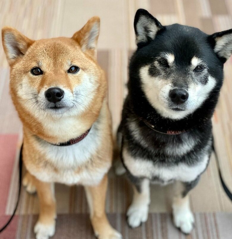 左：りなちゃん　右：みくちゃん