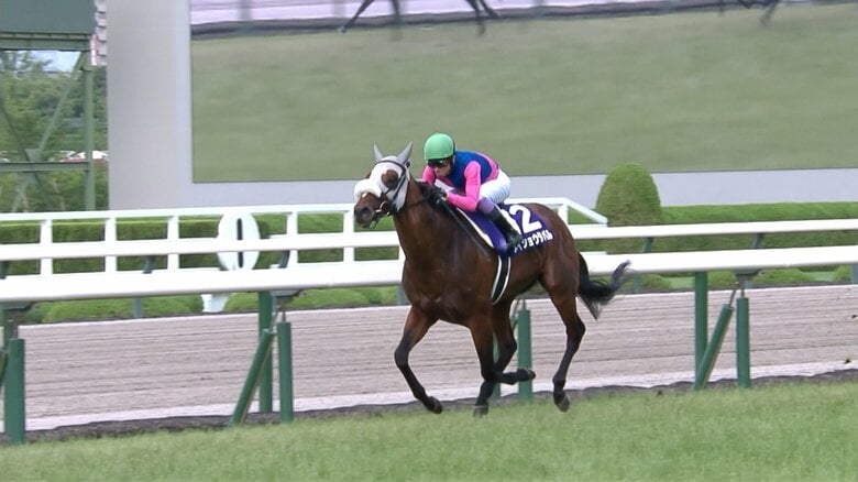 宝塚記念・GⅠを制したメイショウタバル