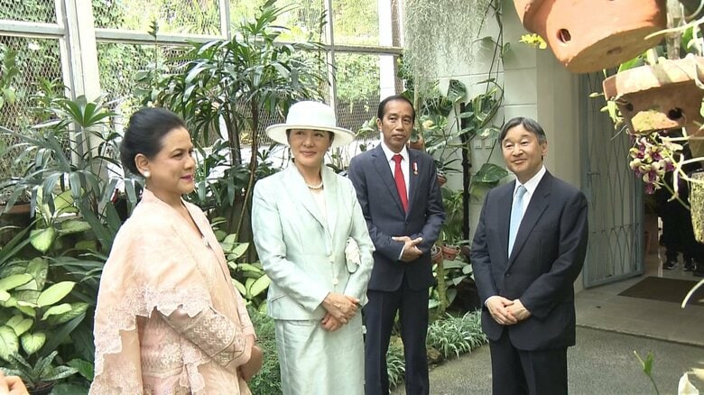 植物園では色とりどりの蘭を観賞された（6月19日）