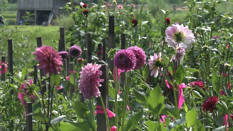 750種類もの植物が生息