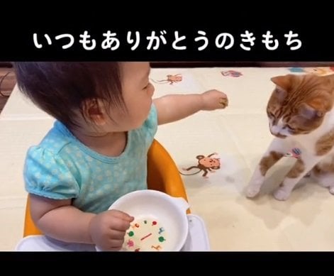 自分のごはんを琥珀くんにおすそわけしてあげたい娘さん