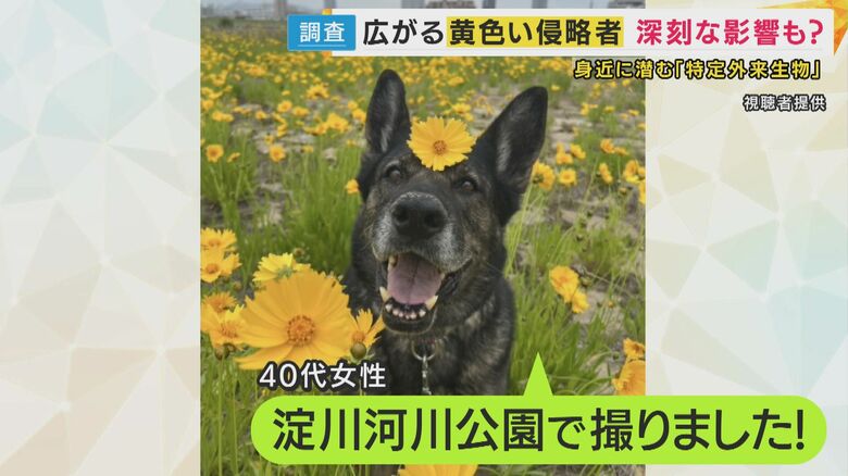 淀川河川公園にも！