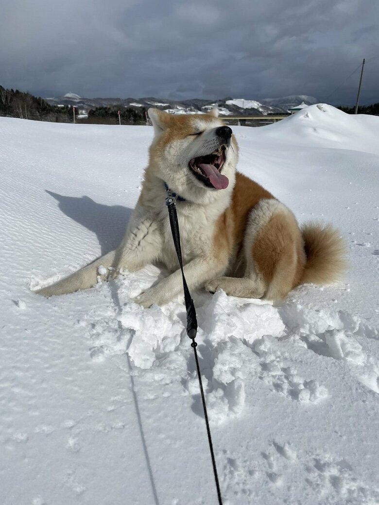 雪大好き！