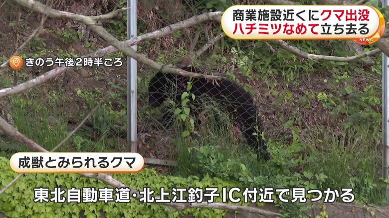 7時間にわたり住宅や商業施設近くにとどまった