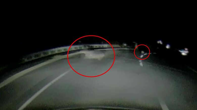 砂川市焼山の道道で撮影されたクマ