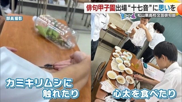 「天牛」や「心太」を実際に触れたり食べたり
