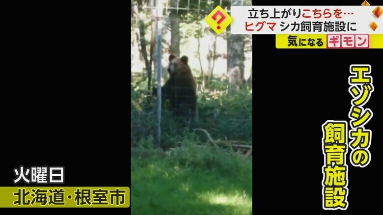 （根室市）