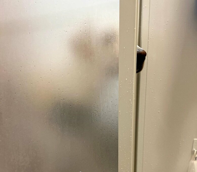 お風呂が長くなると鼻先だけ見せてくることもあるという