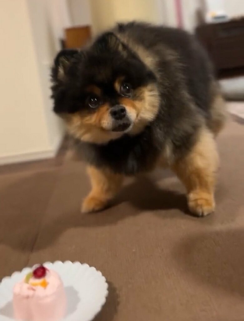 本当の本当？　まだ戸惑っている様子