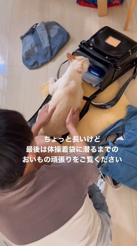 提供：oimo & yuzukiさん