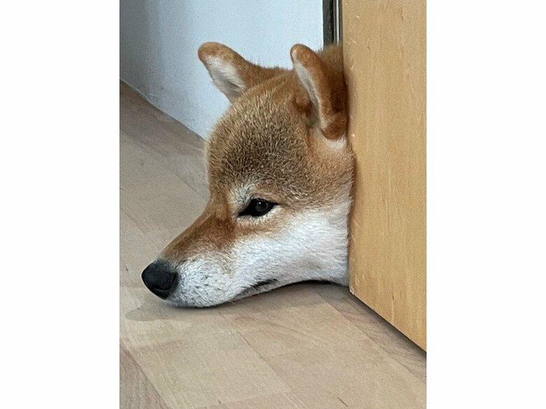 そしてこの真顔である