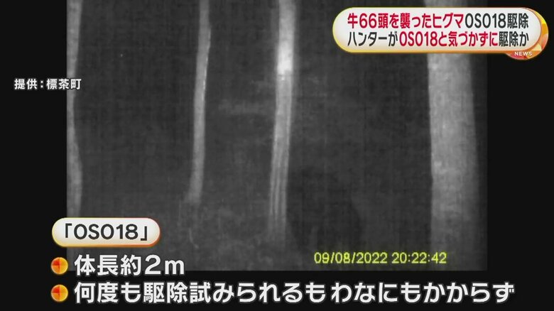 地元猟友会が何度も駆除を試みてきた