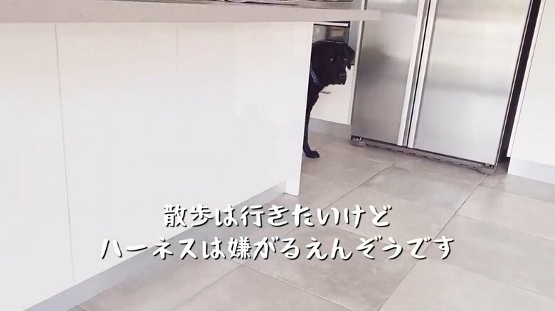 毎回1回は逃げるという