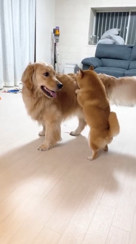 提供：うにandおからさん