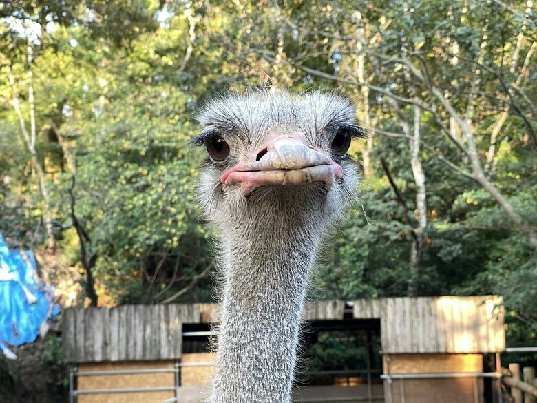 提供：長崎バイオパーク