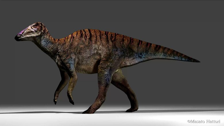 ヤマトサウルスの復元イメージ（制作：服部雅人氏）