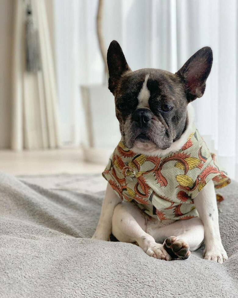 提供：丸男さん