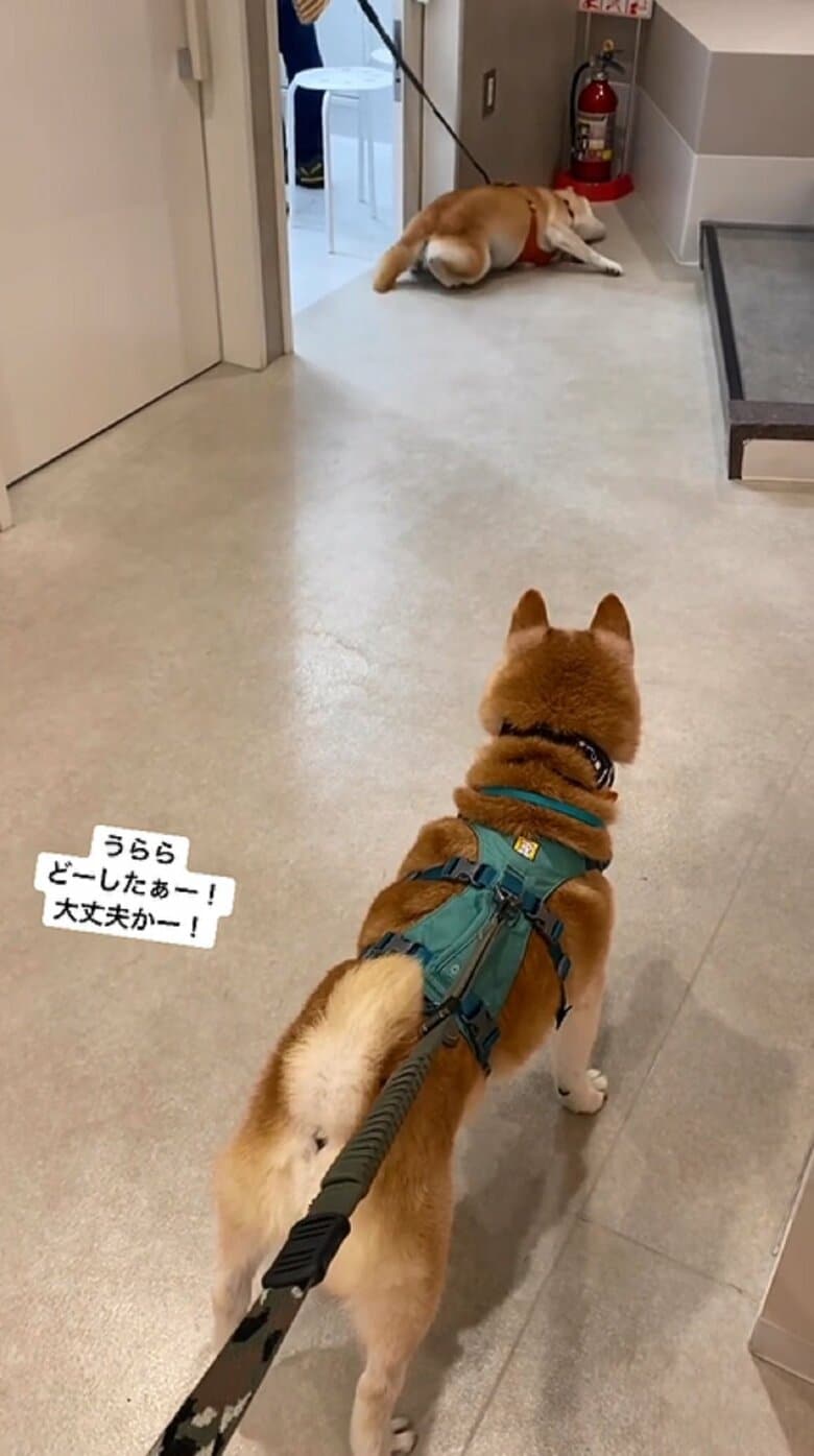 そのまま端に向かっていって