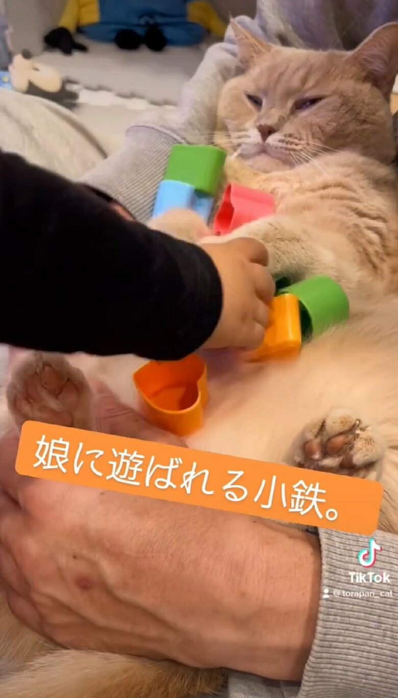 娘さんがおもちゃを小鉄くんに乗せて遊んでいる