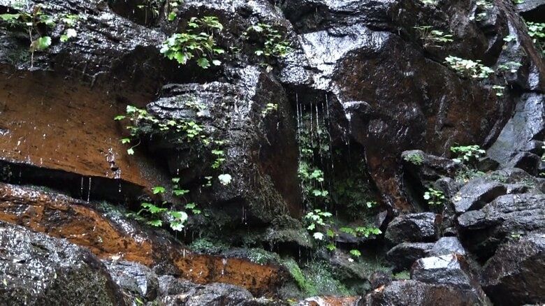 水は滴る程度にしか流れていない