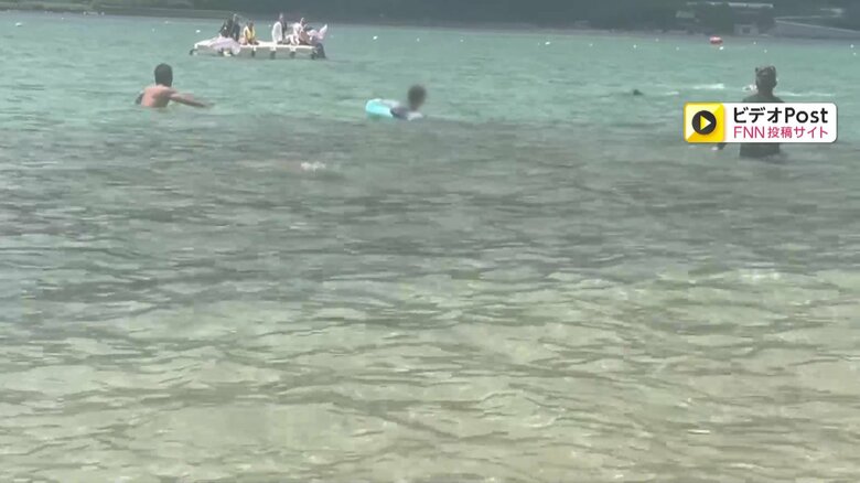 イルカが子どもを襲う一部始終①（全18枚）