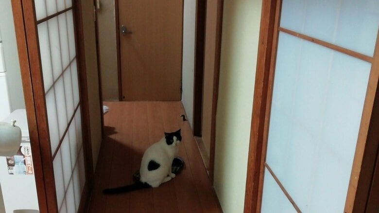 息子さんの部屋の前から離れないことも