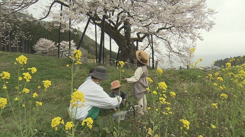 お散歩に出かけてお花摘み