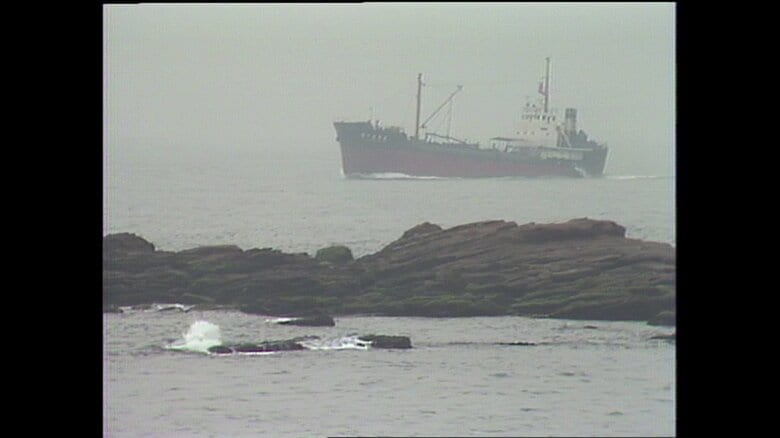 三浦半島・観音崎（神奈川・横須賀市）