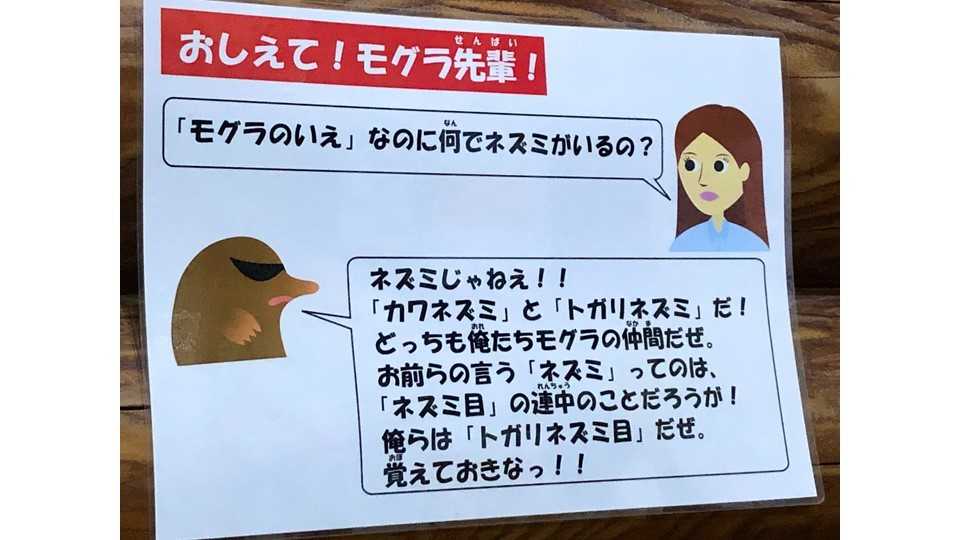 つながってるわけねーだろ 人間の素朴な疑問に モグラ先輩 はキレながら本質をつく