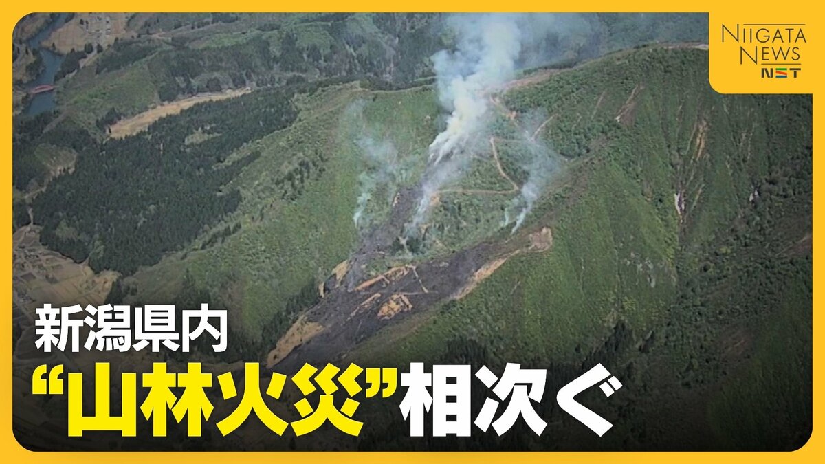 山林火災】「戻ってきたら炎上していた…」ゴミを燃やして買い物へ 新潟