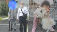 「お子さんじゃなくてよかった」散歩中愛犬をはねた91歳男性が謝罪に…6歳女の子は黙って涙 家族の無念