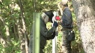 【クマ侵入防止】盤渓小学校に『電気柵』校舎の周囲450メートルに設置「子どもたちが安心安全に活動できる場所を確保」円山動物園と市内7つの学校で作業…冬眠前のクマの活発化に備え〈北海道札幌市〉
