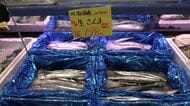 「生サンマはいりました」33トン入荷の札幌では1匹431円！ようやく”秋の味覚”が食卓に_大きいもので140gほど…脂乗りはまずまず_根室で約257トン水揚_サンマ漁ピークは9月中旬