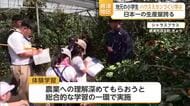 ハウスミカン生産量日本一の唐津　地元の小学生がミカンづくり学ぶ【佐賀県】