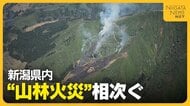 【山林火災】「戻ってきたら炎上していた…」ゴミを燃やして買い物へ　新潟・魚沼市でスキー場跡地が約35ha焼失　新潟県で”山林火災”相次ぐ