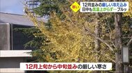 県内は12月並みの厳しい冷え込みに 久万高原町で7.2℃【愛媛】