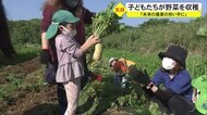 沖縄・本部町で園児が野菜収穫体験