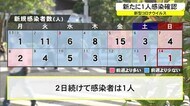 新型コロナ新たに1人感染確認 感染対策と経済活動の両立にむけ15日から実証実験