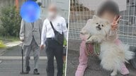 「お子さんじゃなくてよかった」散歩中愛犬をはねた91歳男性が謝罪に…6歳女の子は黙って涙　家族の無念