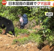 登山客の“至近距離”でエサ探し…立山でクマの出没相次ぐ　「猛暑で“エサ不足”遭遇の可能性高まる」専門家が指摘