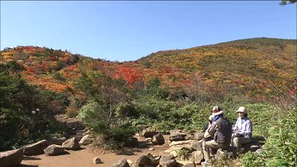 紅葉が山肌一面に　ロープウェイで安達太良山へ　ほんとうの空と色鮮やかな紅葉のコントラスト　福島