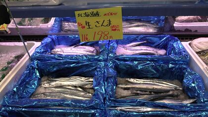 「生サンマはいりました」33トン入荷の札幌では1匹431円！ようやく”秋の味覚”が食卓に_大きいもので140gほど…脂乗りはまずまず_根室で約257トン水揚_サンマ漁ピークは9月中旬