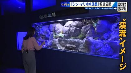 「シン・マリホ水族館」 来週のオープンを前に報道公開　瀬戸内の魚から陸の生き物まで展示　広島