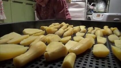 寒風が甘み引き出す！新潟・佐渡市で手仕事光る“干し芋”づくり「とても喜ばれるから今年も」