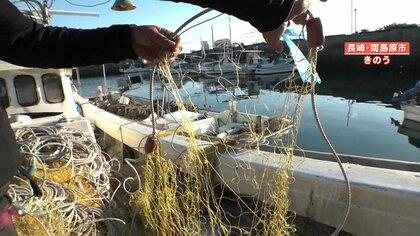 野生のイルカが網を食い破る被害に頭を抱える漁師たち「イルカは貴重な観光資源…なのでうまく共存したい」【長崎・南島原市】