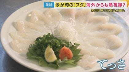 「ふぐ料理見て一目ぼれ」世界が注目する日本の“ふぐ”　多くの国では“毒”で食用禁止　「いつか母国に店を」とベトナムの料理人が関西で修行